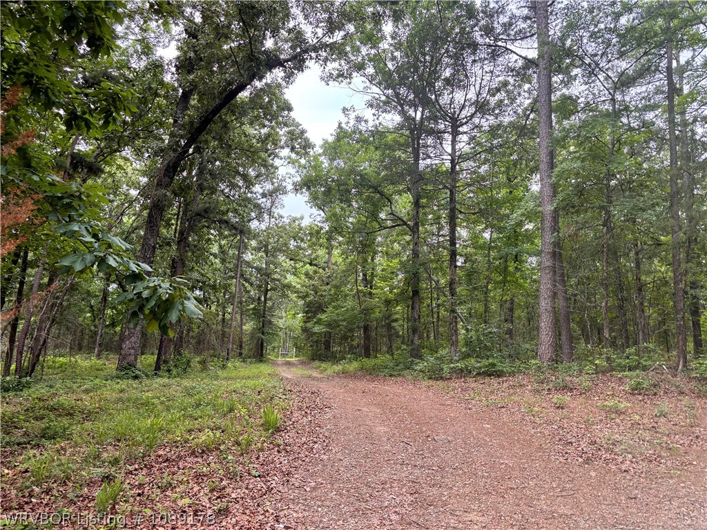 main property photo 47