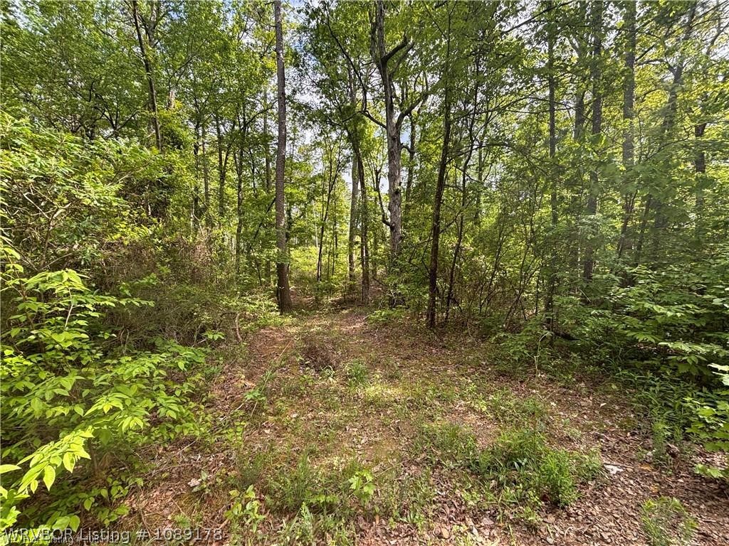 main property photo 49