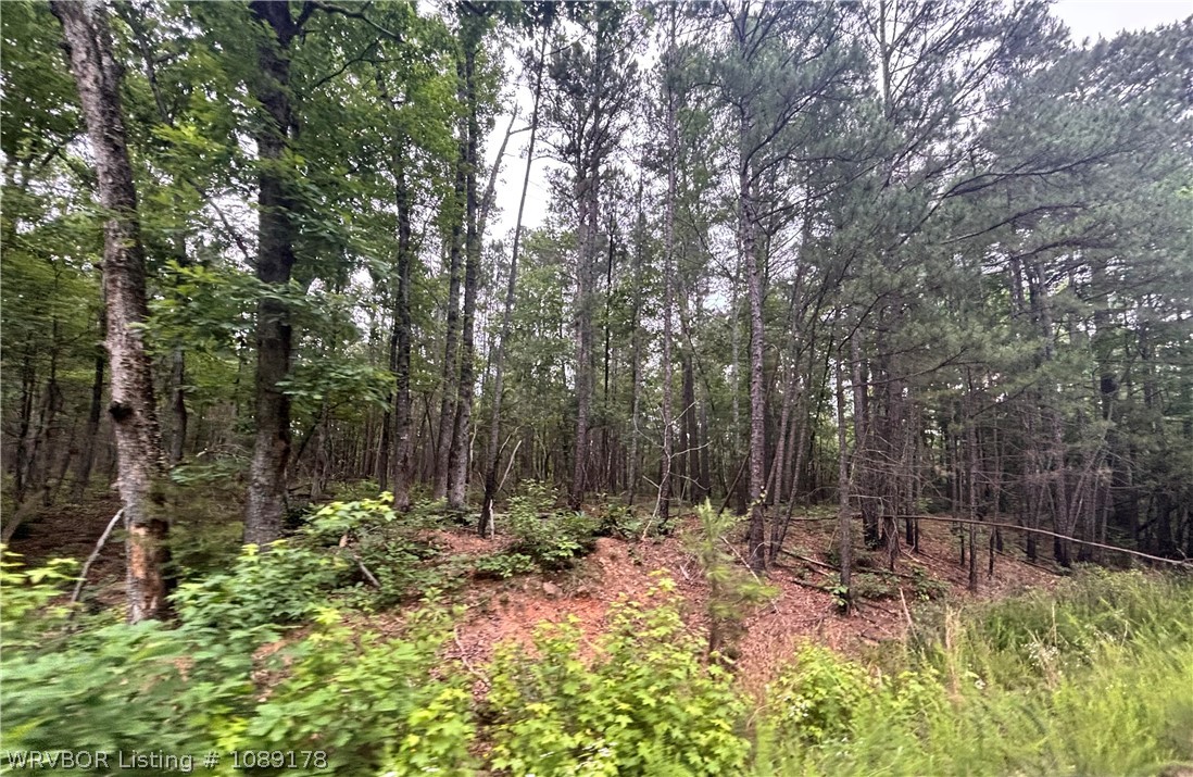 main property photo 50
