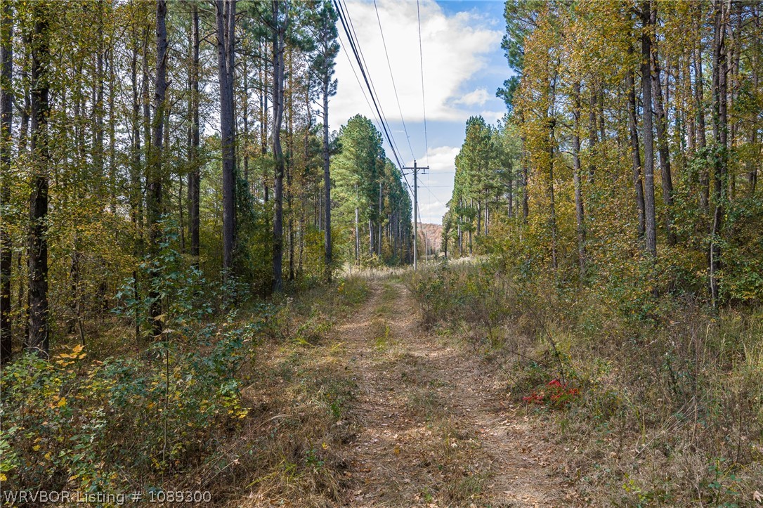 main property photo 14