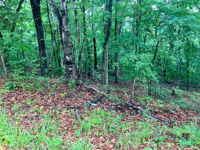 main property photo 16