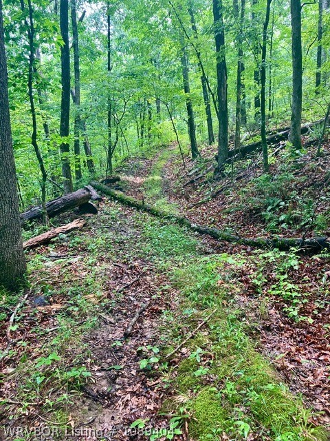 main property photo 6
