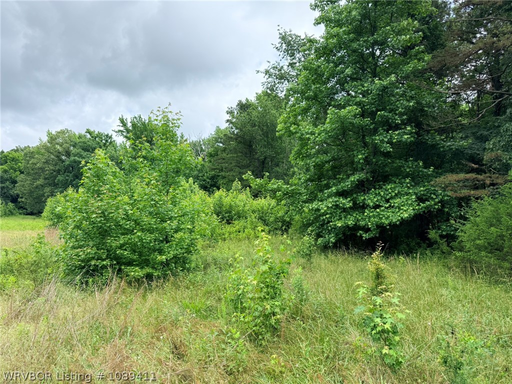 main property photo 7