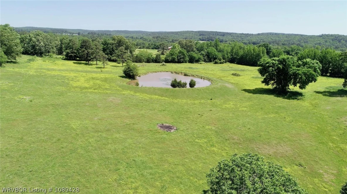 main property photo 64