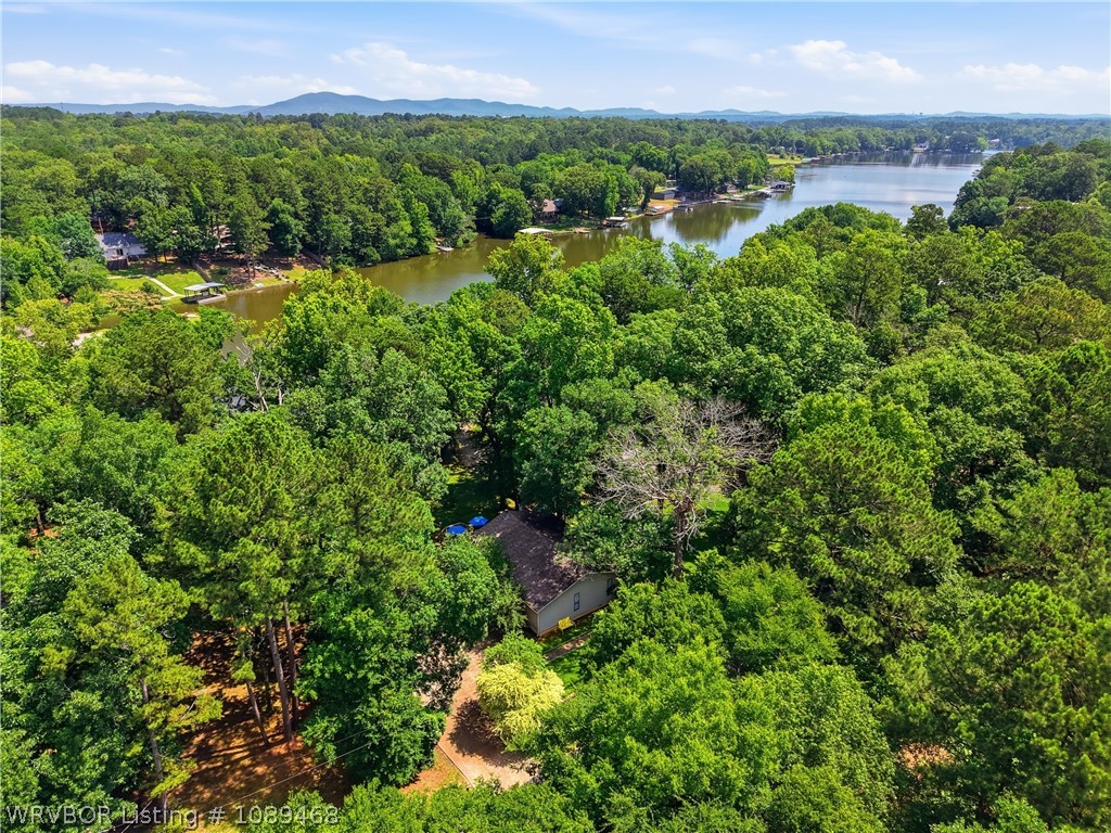 main property photo 54