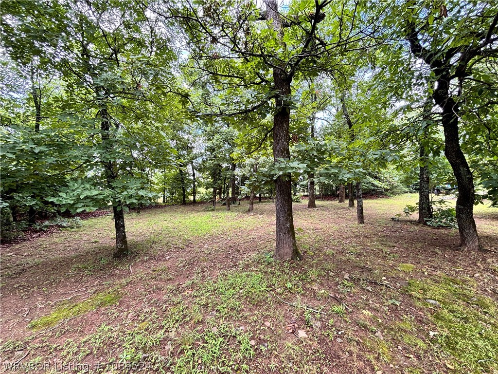 main property photo 55