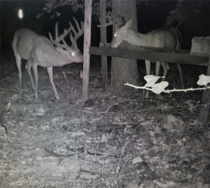 main property photo 74