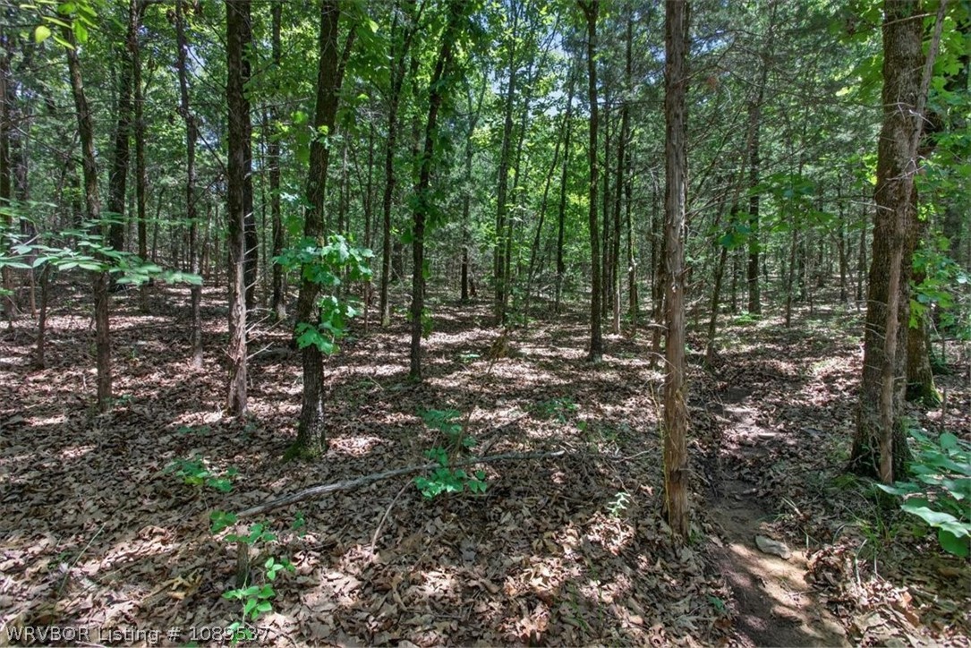 main property photo 11