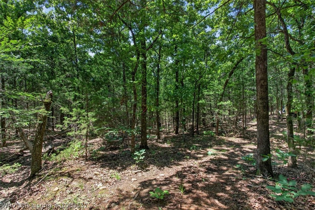 main property photo 12