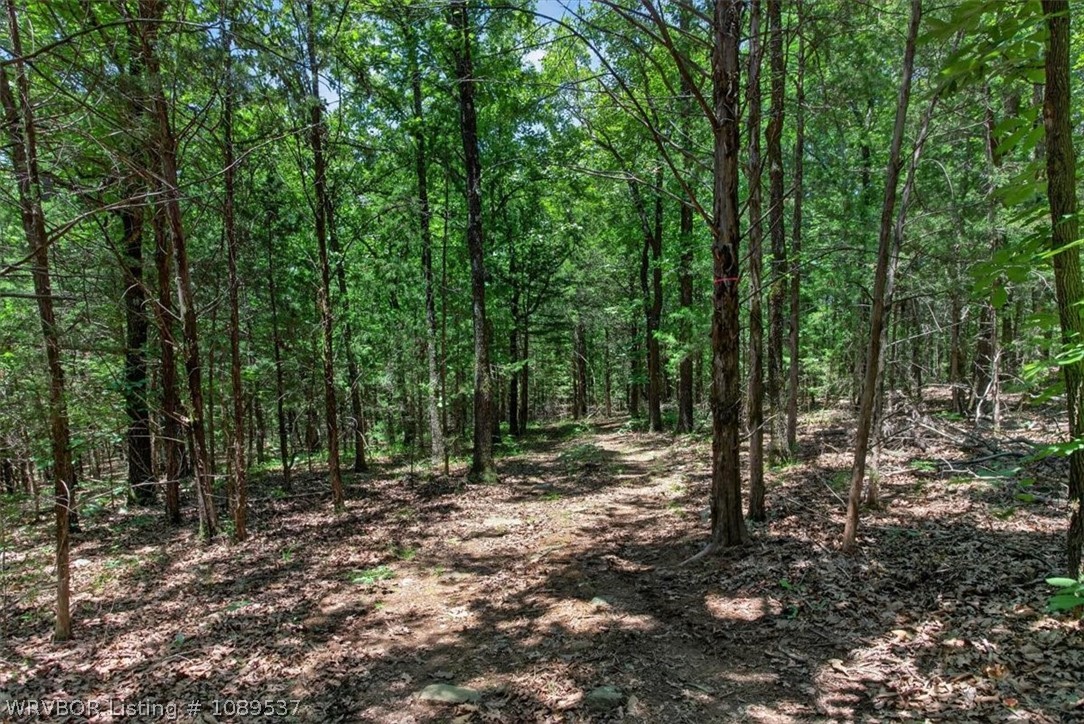 main property photo 8