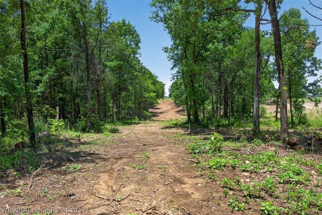 main property photo 11