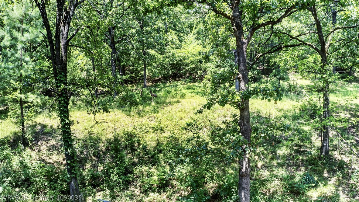 main property photo 42