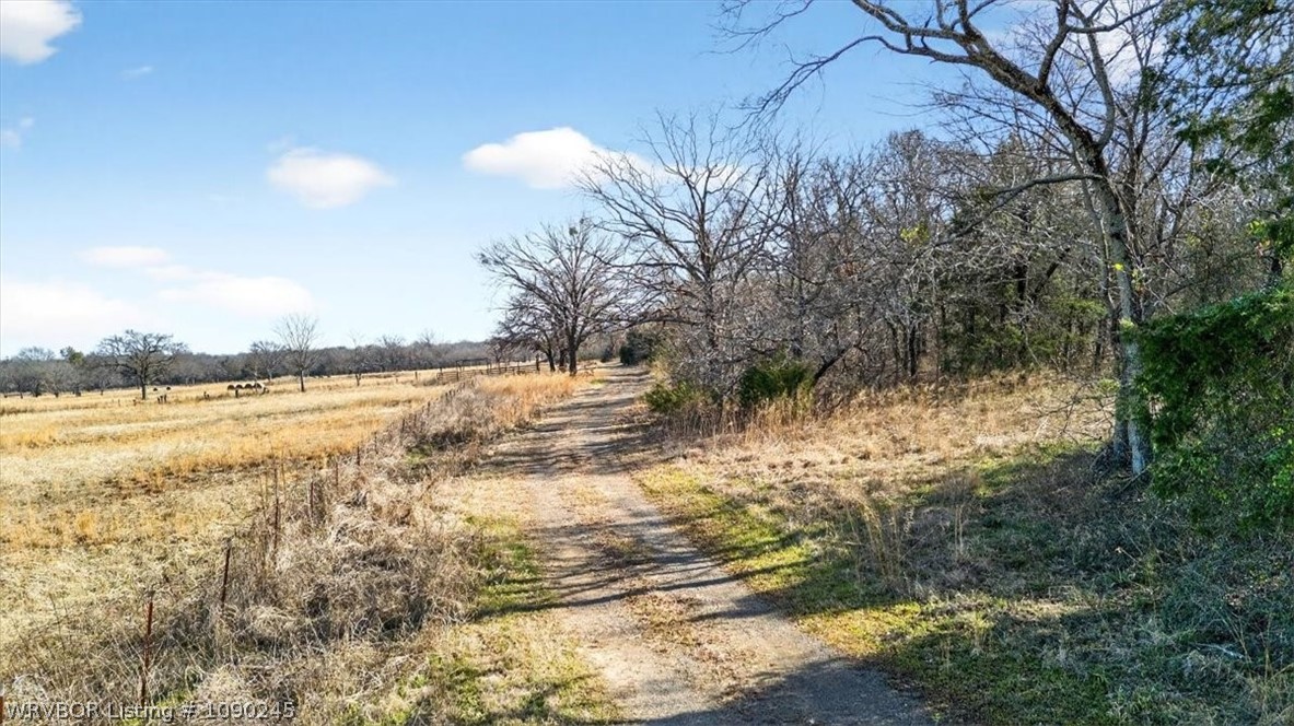 main property photo 54