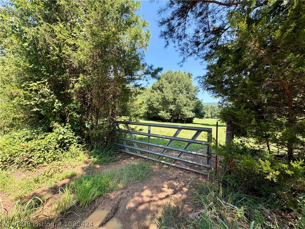 main property photo 6