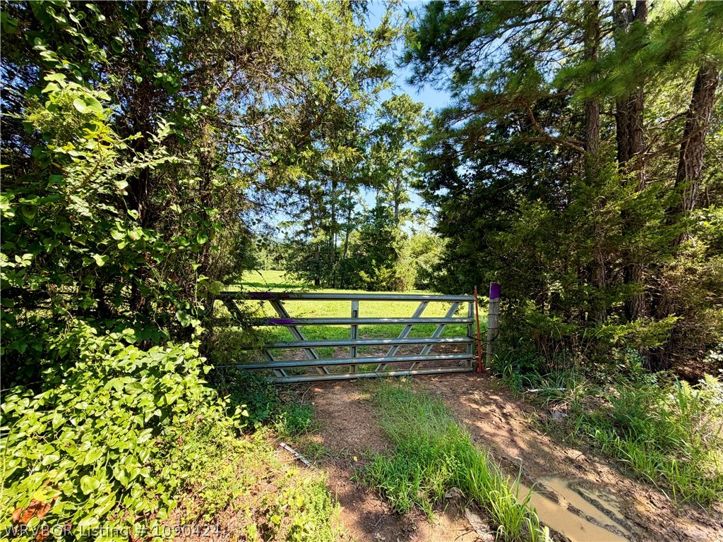 main property photo 8