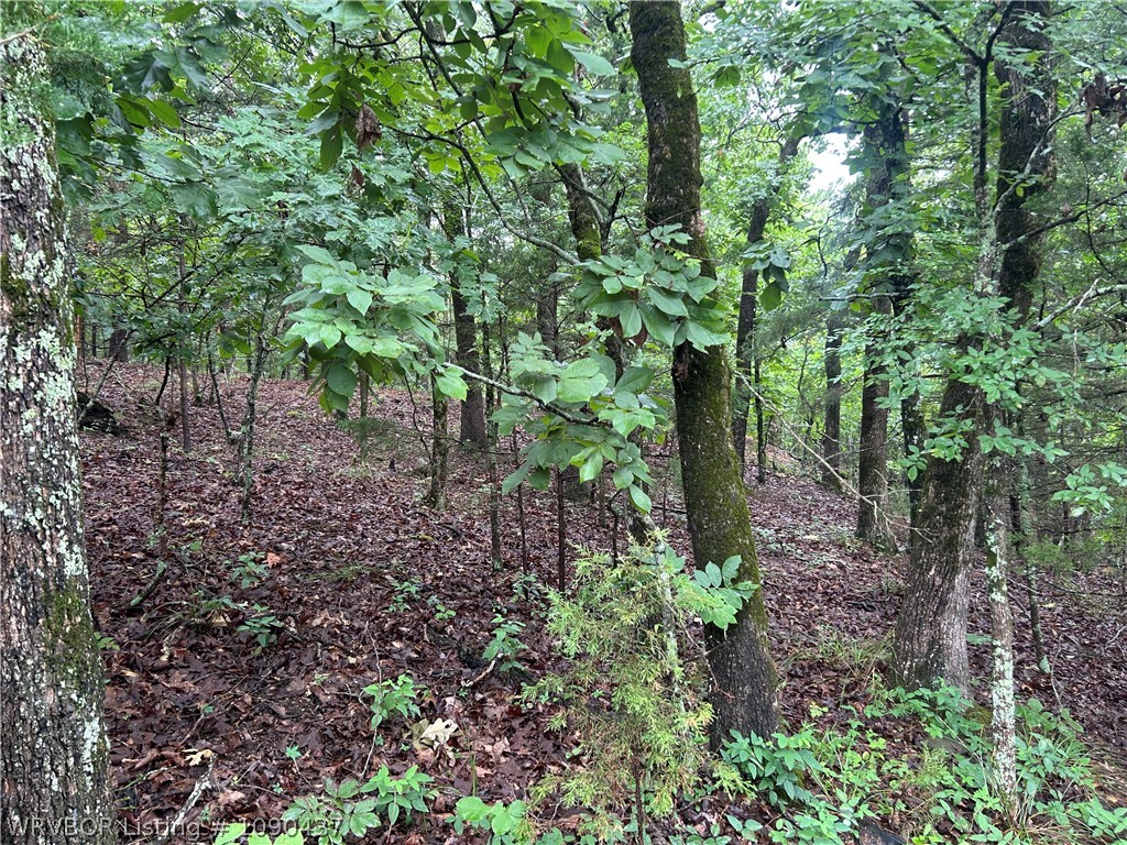 main property photo 0