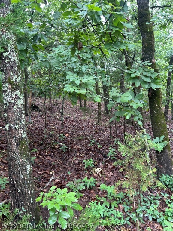 main property photo 10