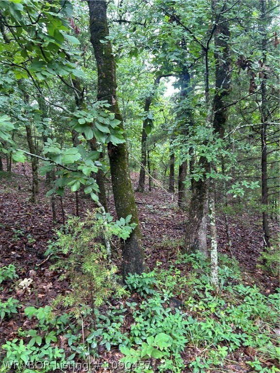 main property photo 11