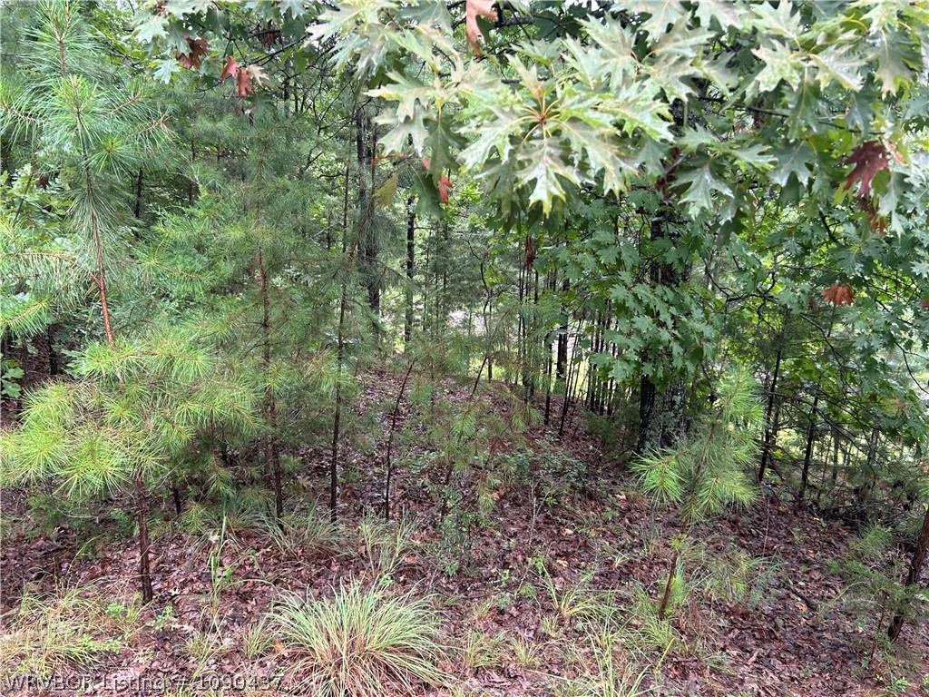 main property photo 8