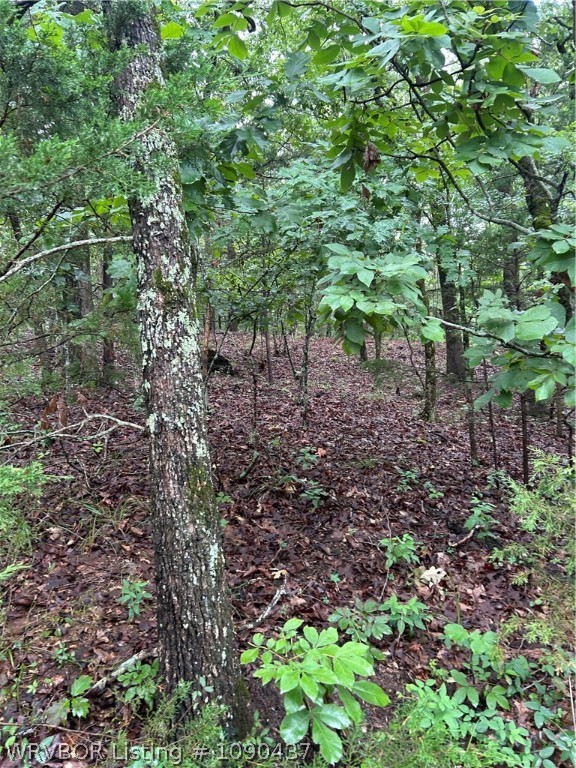 main property photo 9