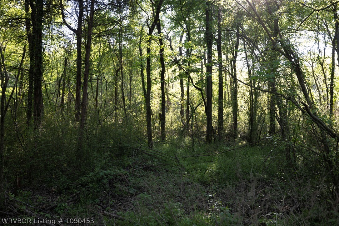 main property photo 12