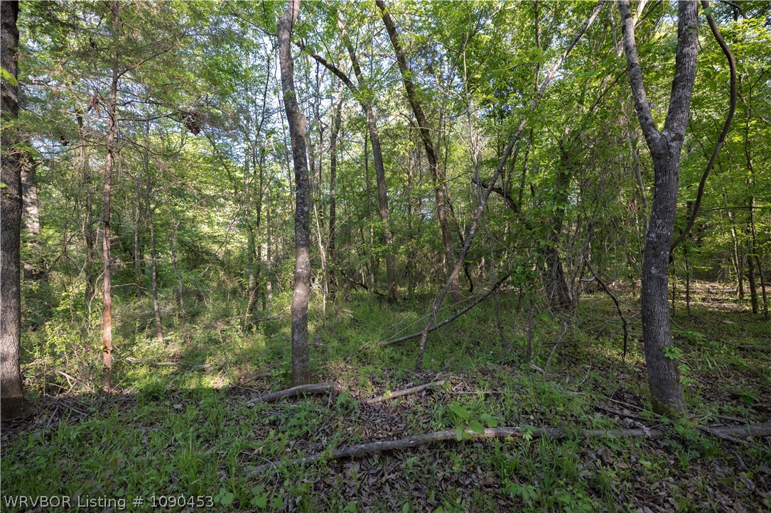 main property photo 25