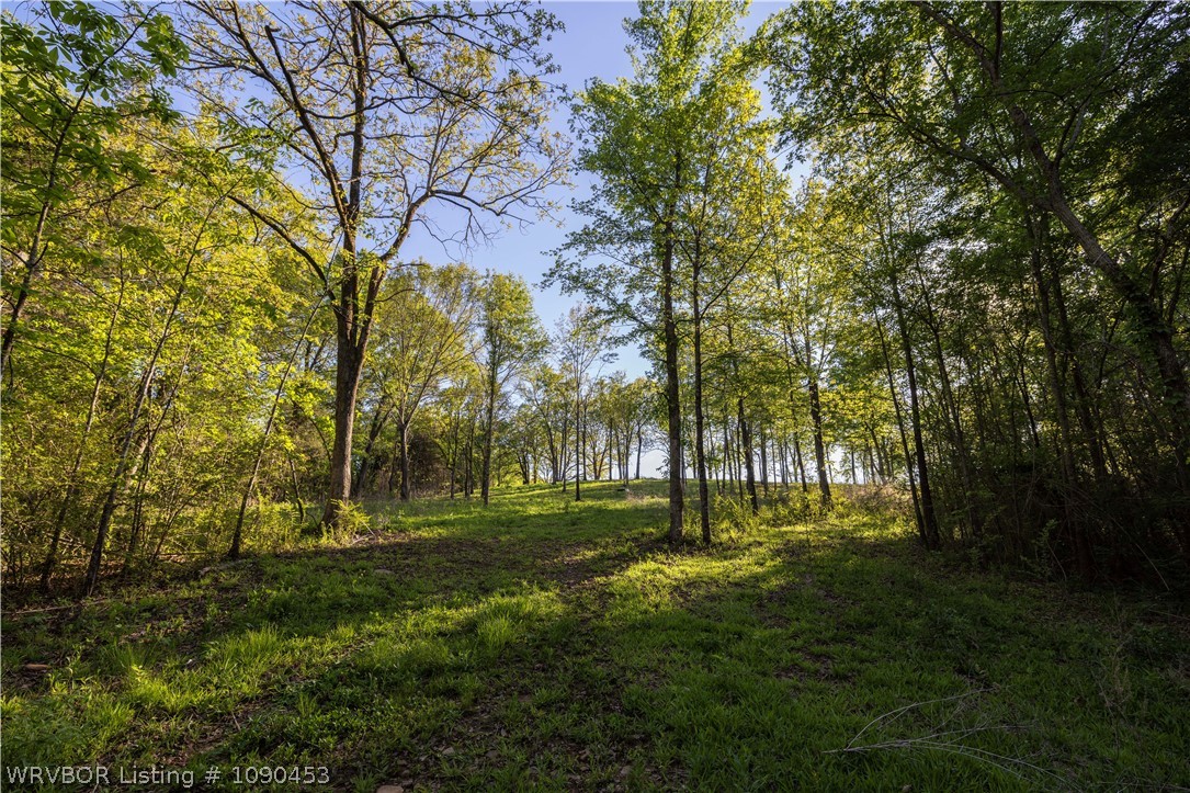 main property photo 26