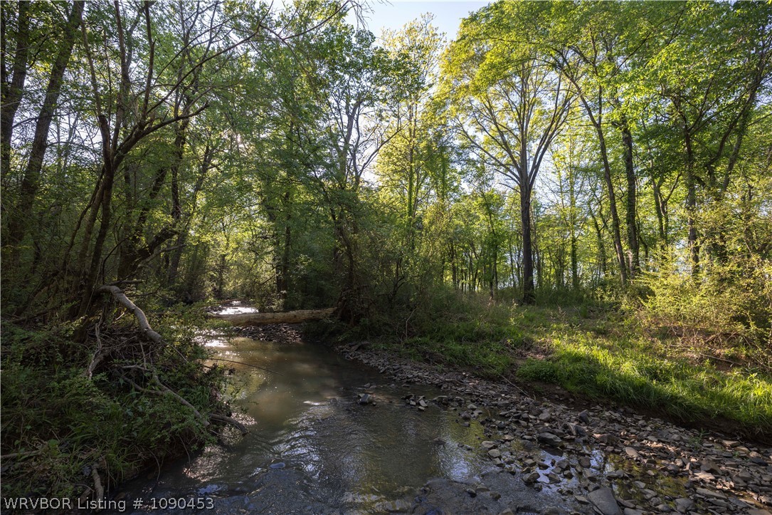 main property photo 6