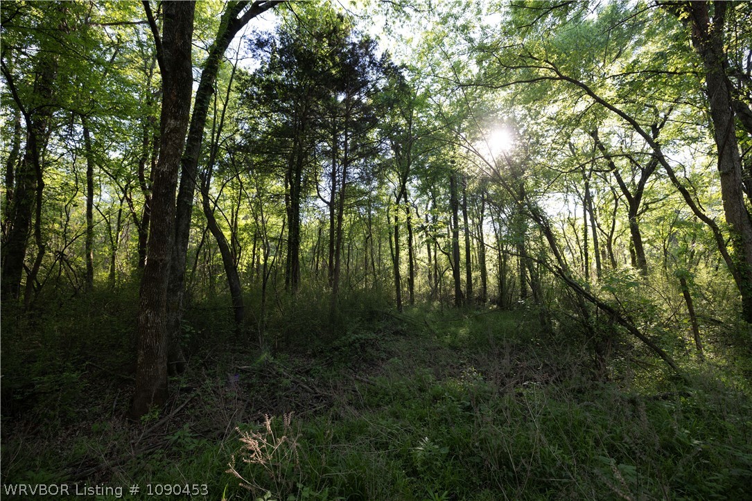 main property photo 8