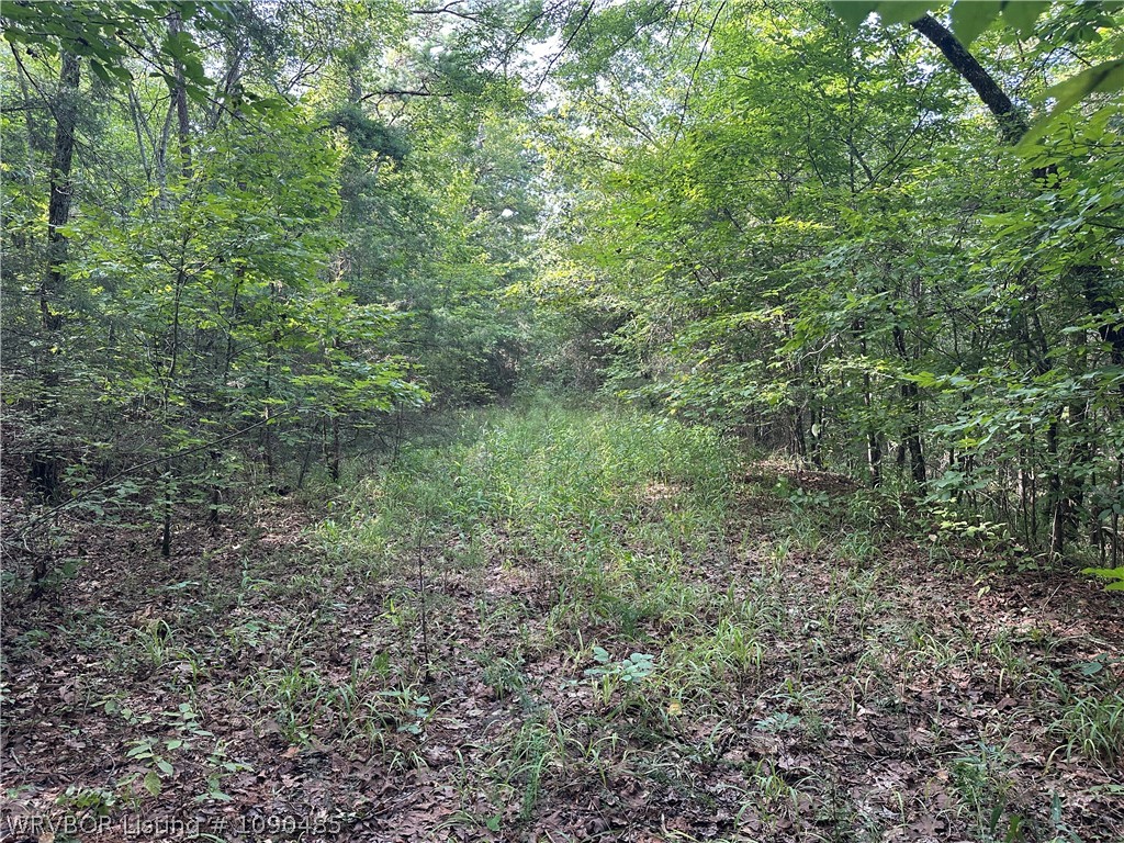 main property photo 15