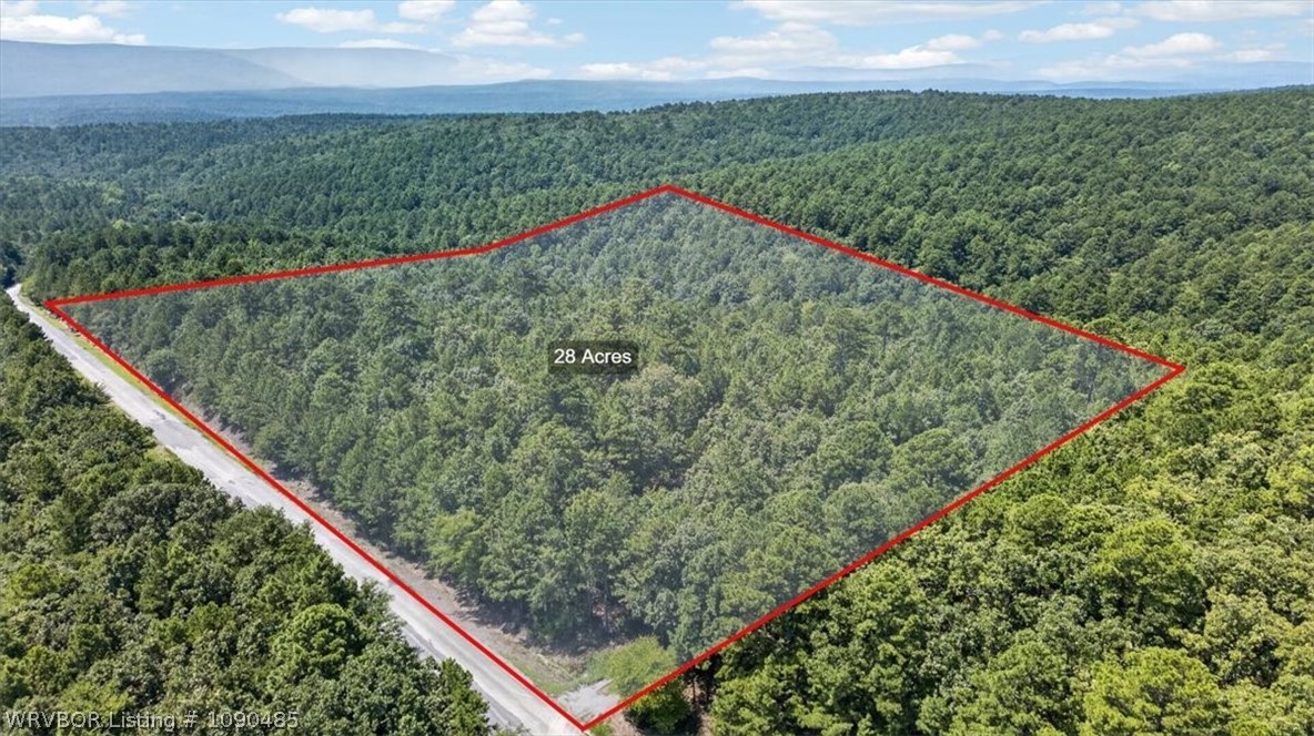 main property photo 42