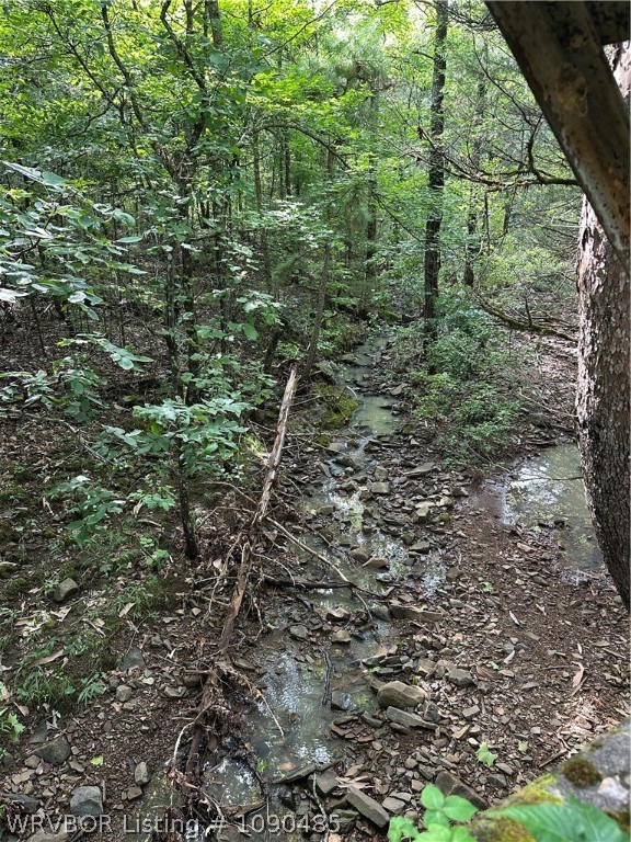 main property photo 6