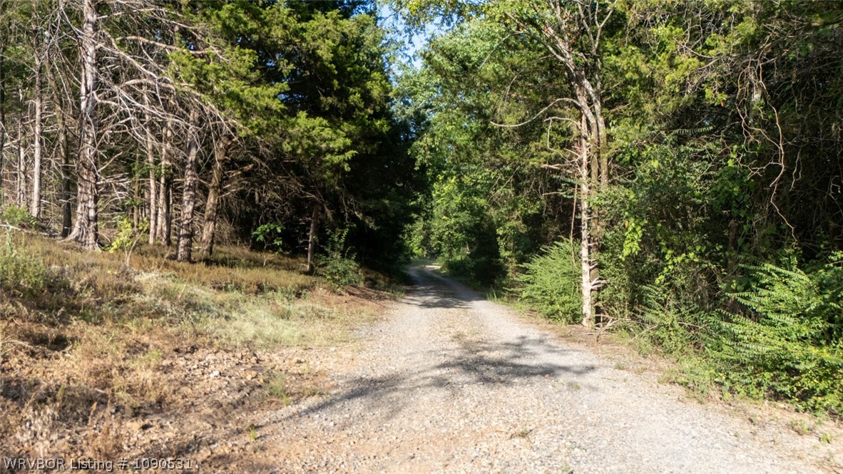 main property photo 39