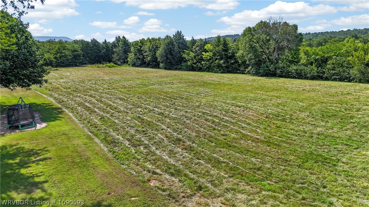main property photo 48
