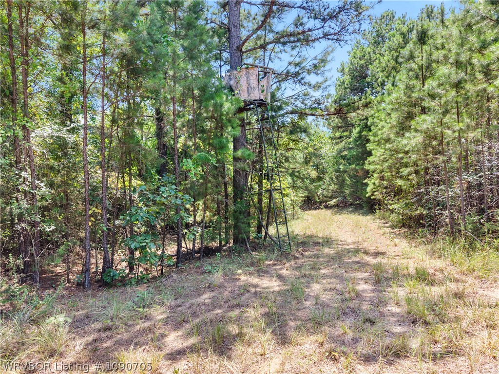 main property photo 53
