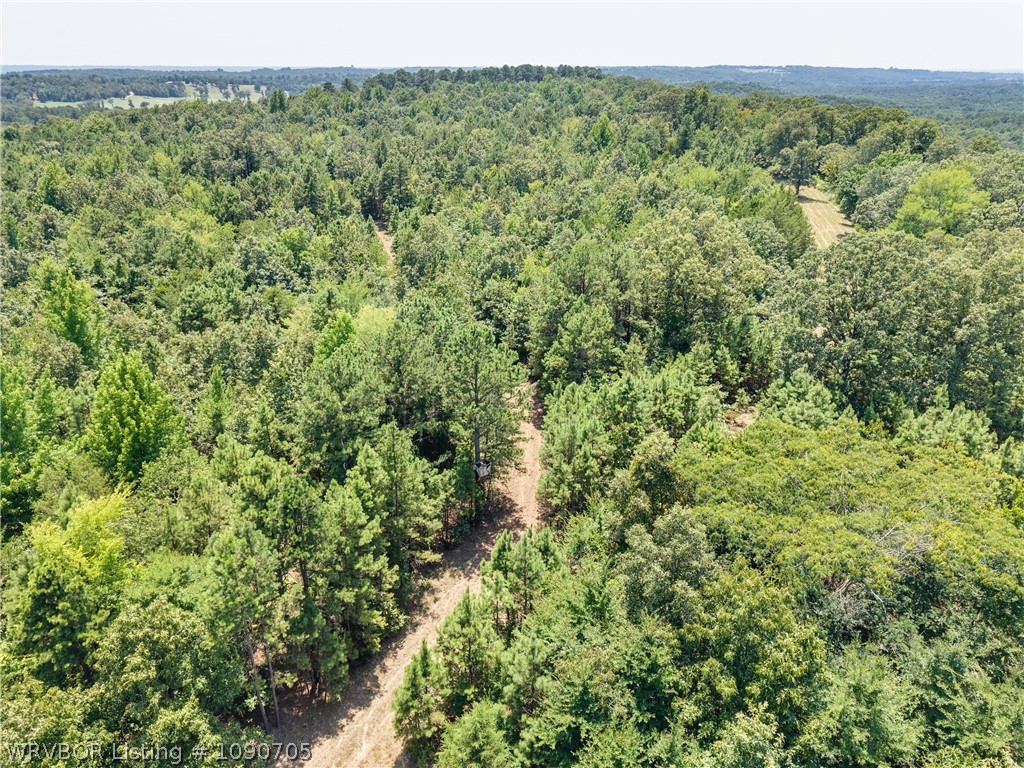 main property photo 54