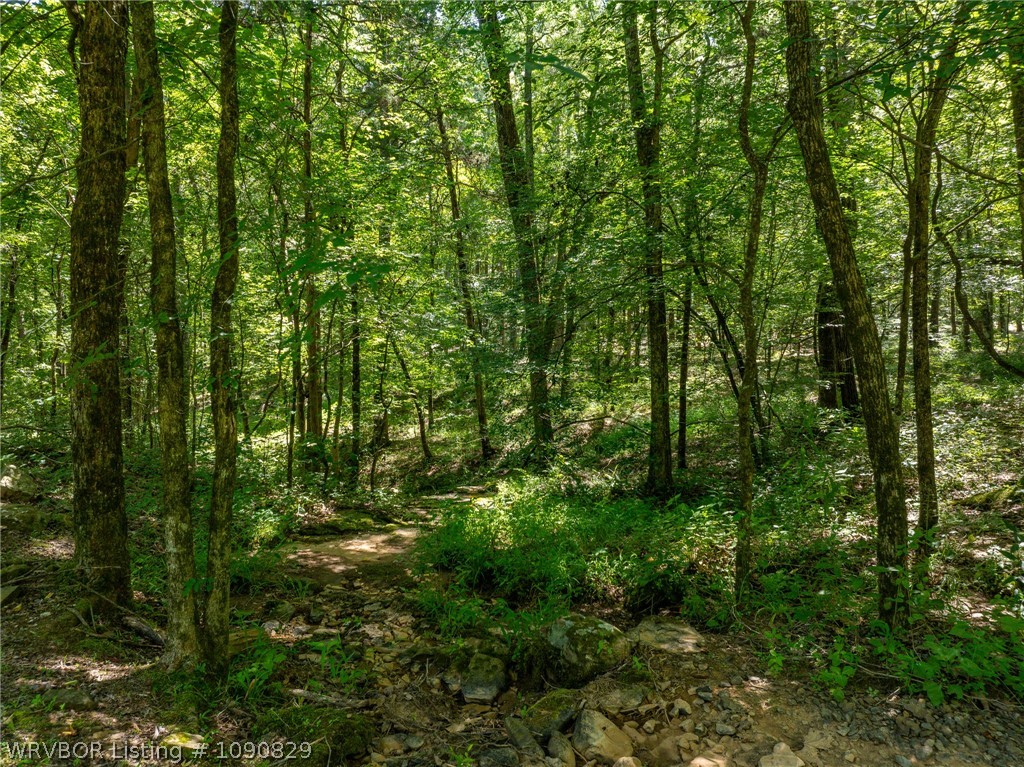 main property photo 46