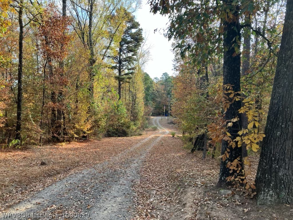 main property photo 47
