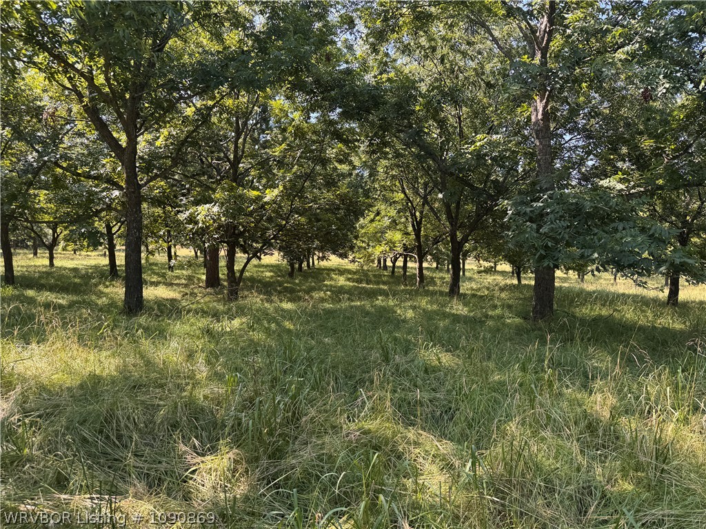 main property photo 31
