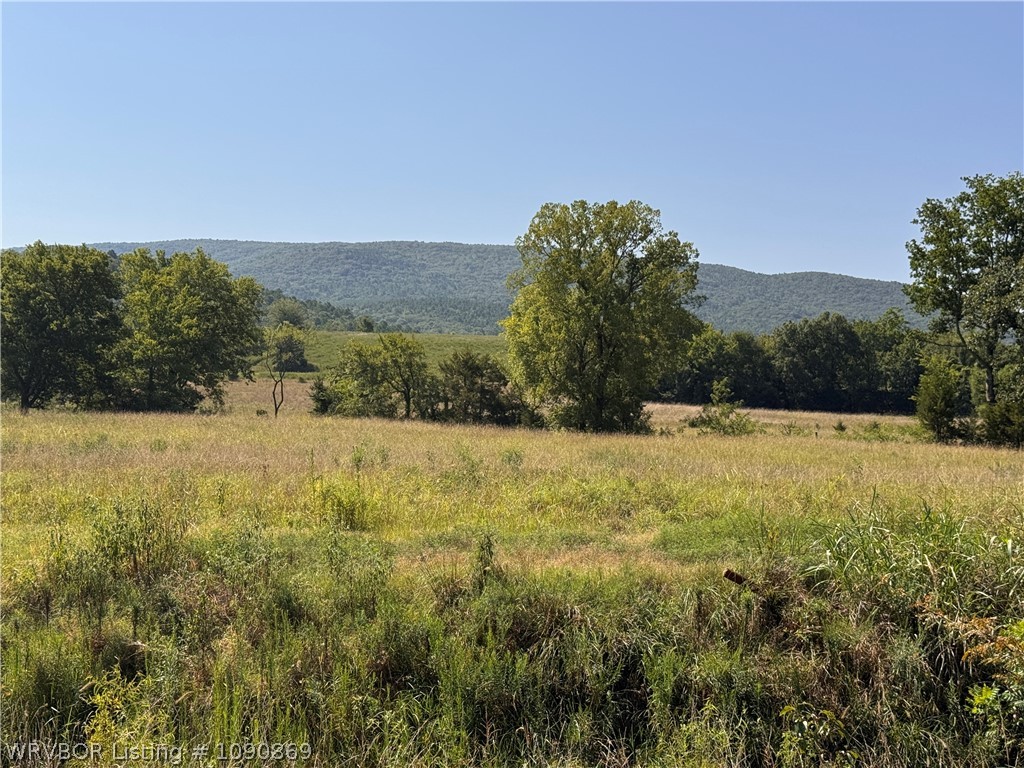 main property photo 51