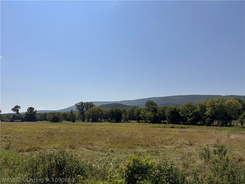 main property photo 53