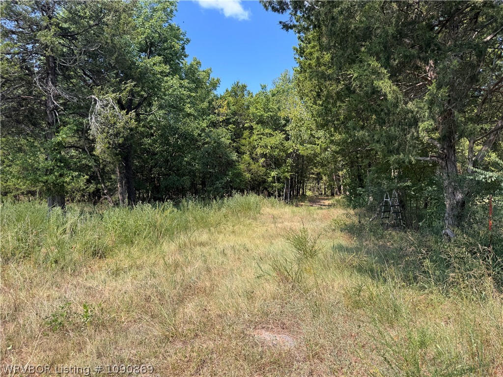 main property photo 54