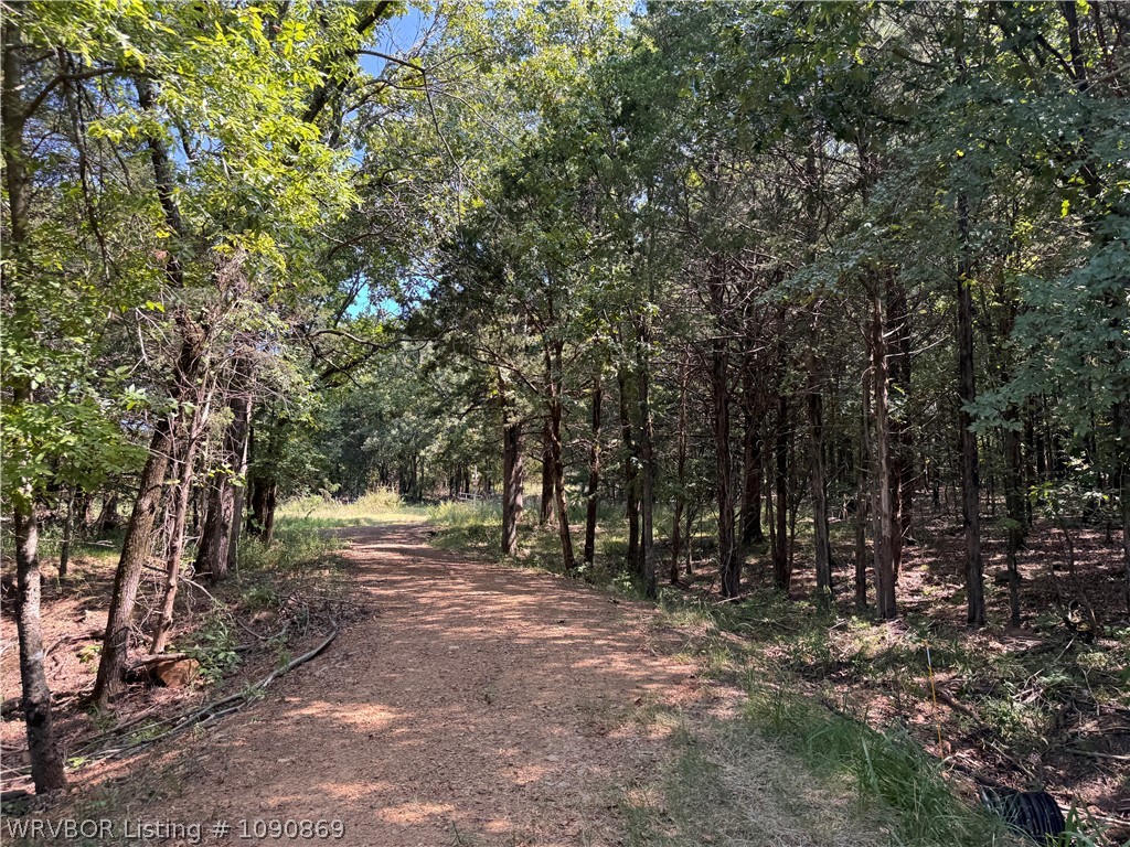 main property photo 56