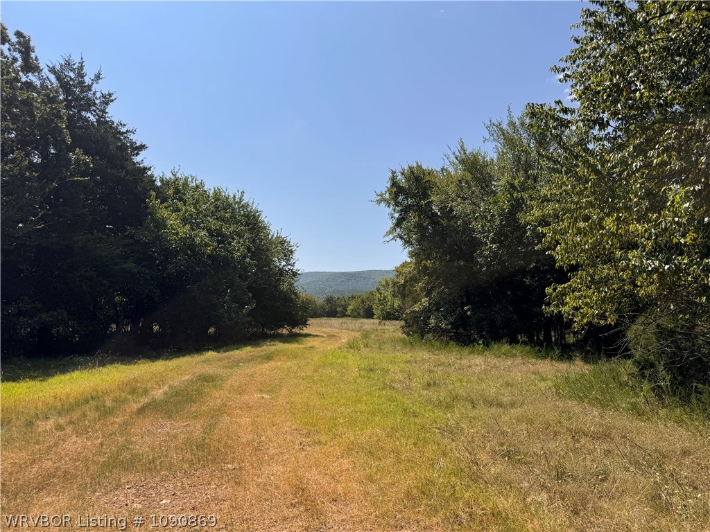main property photo 57