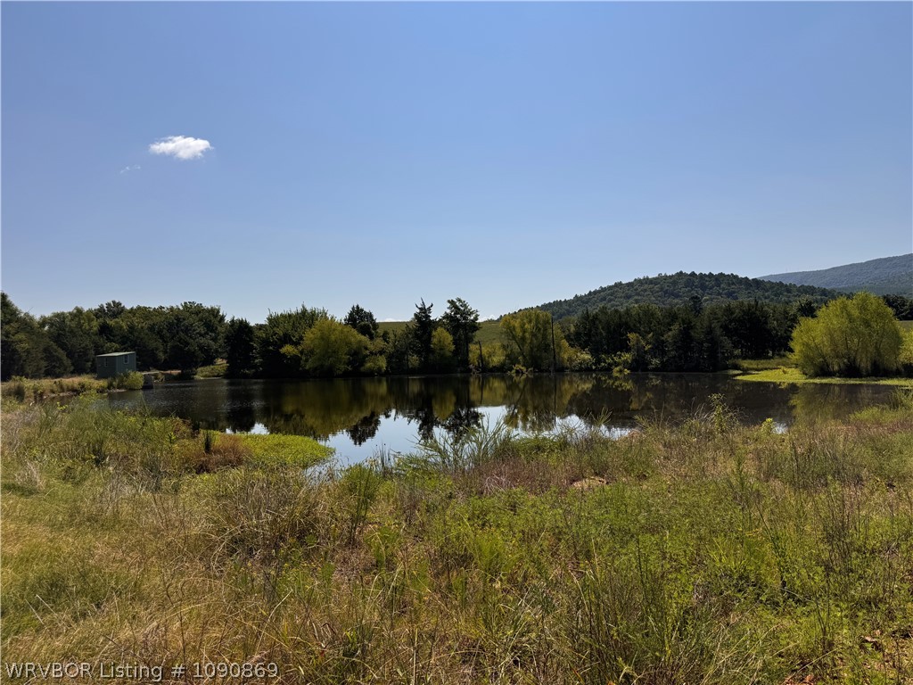 main property photo 58