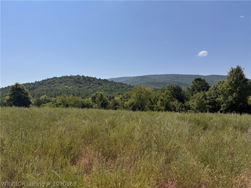 main property photo 63