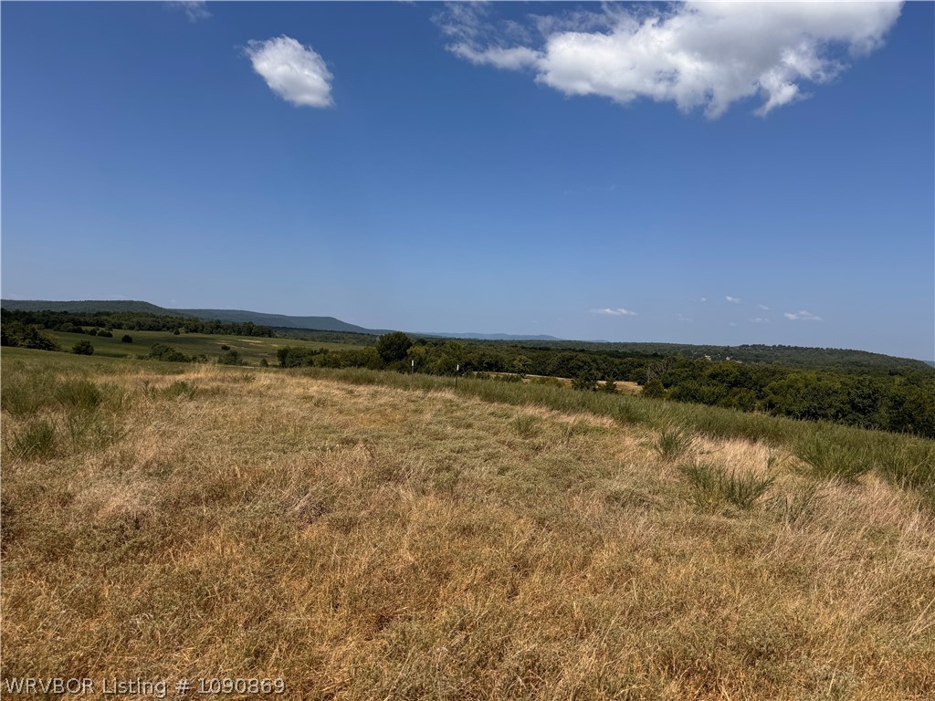 main property photo 64