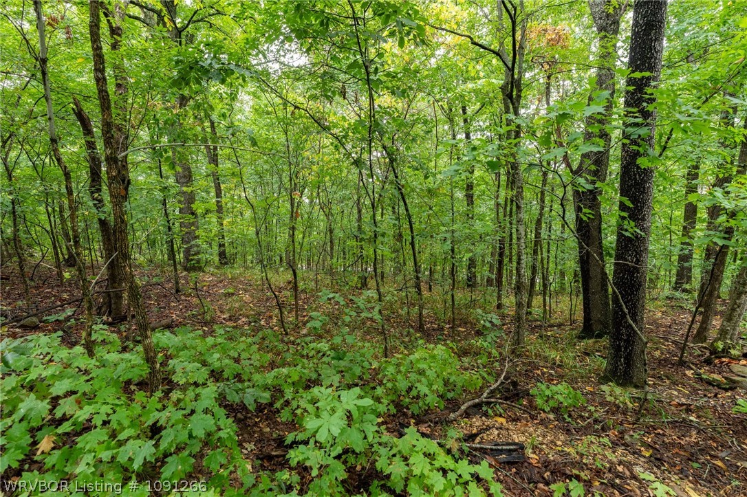 main property photo 21