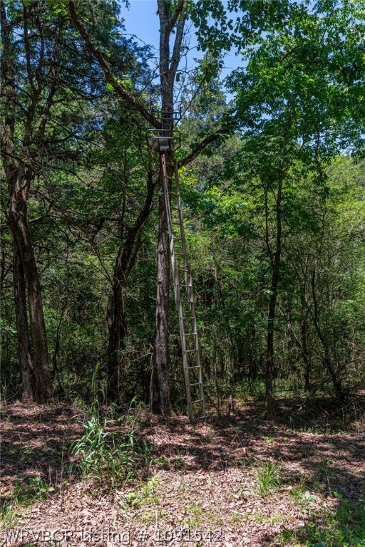 main property photo 35