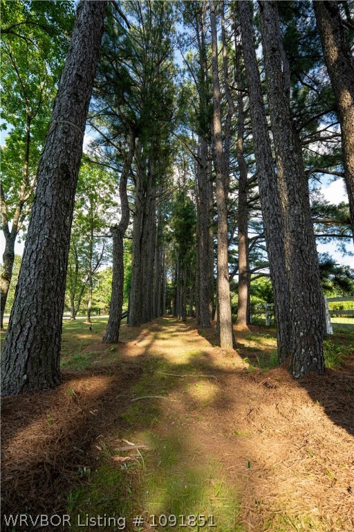 main property photo 48